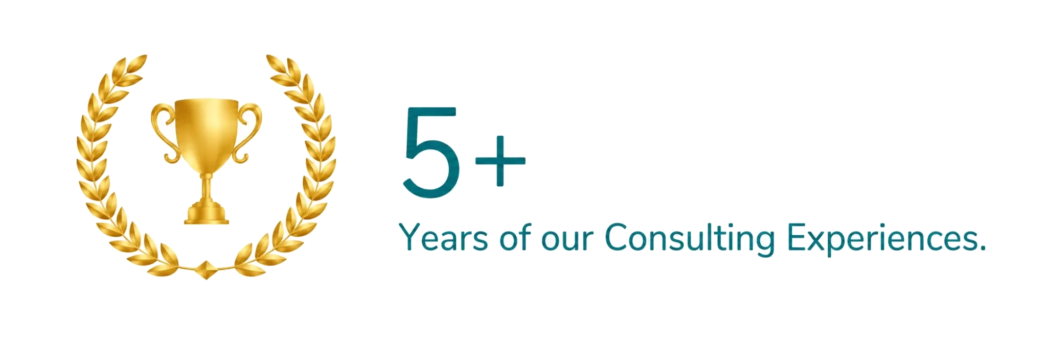 5+ Years of our Consulting Experiences